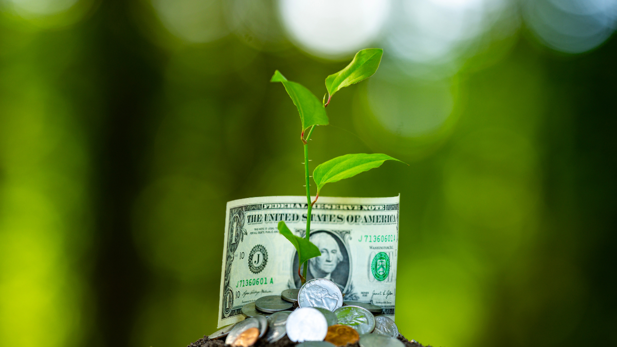 Save money. Coins and seedling. Concept of saving and financial growth. Saving money. Investment and income. Financial savings. Financial growth. Saving coins with growing plant. Business growth Easy Ways to Generate Passive Income.