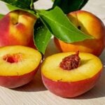 Have Some Summer Peaches? 43 Fresh Peach Recipes 2 peaches 2573836 640