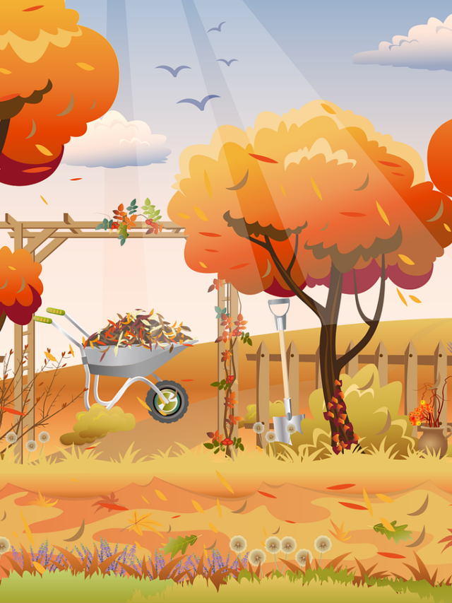cropped-trees-g0bc70bfb9_1280.png