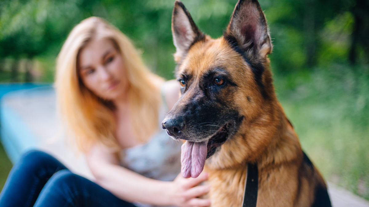 female with german shepherd dog in park jobs that pay well.
