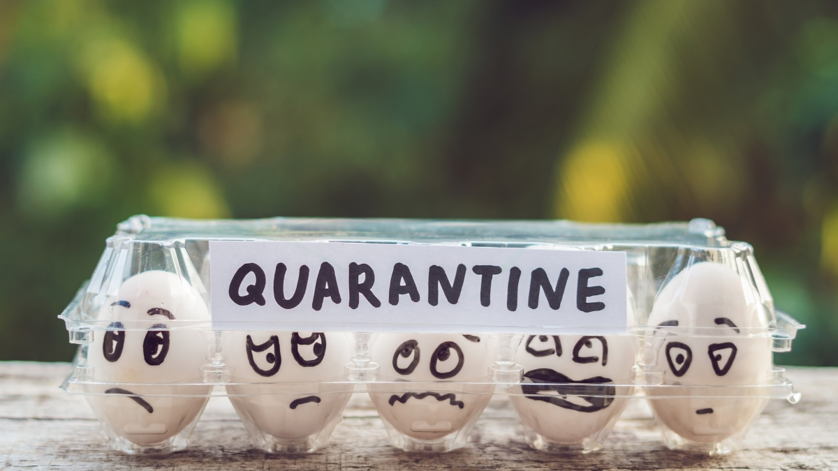 Eggs in a box, quarantine. Eggs are considered when passing quarantine at the border.