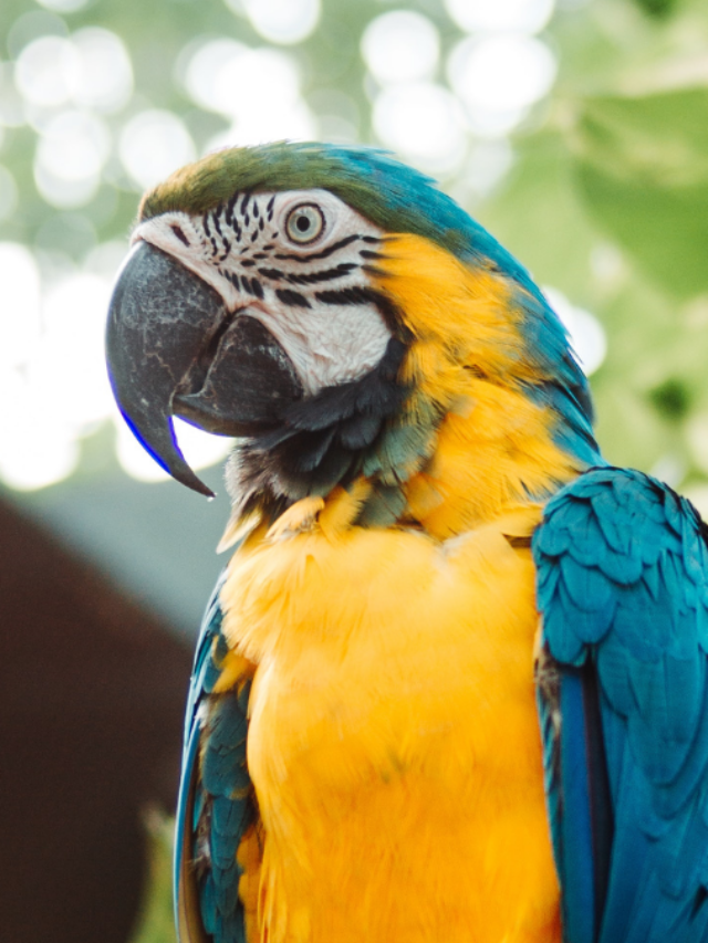 20 Terrific Things To Do In Barranquilla Colombia