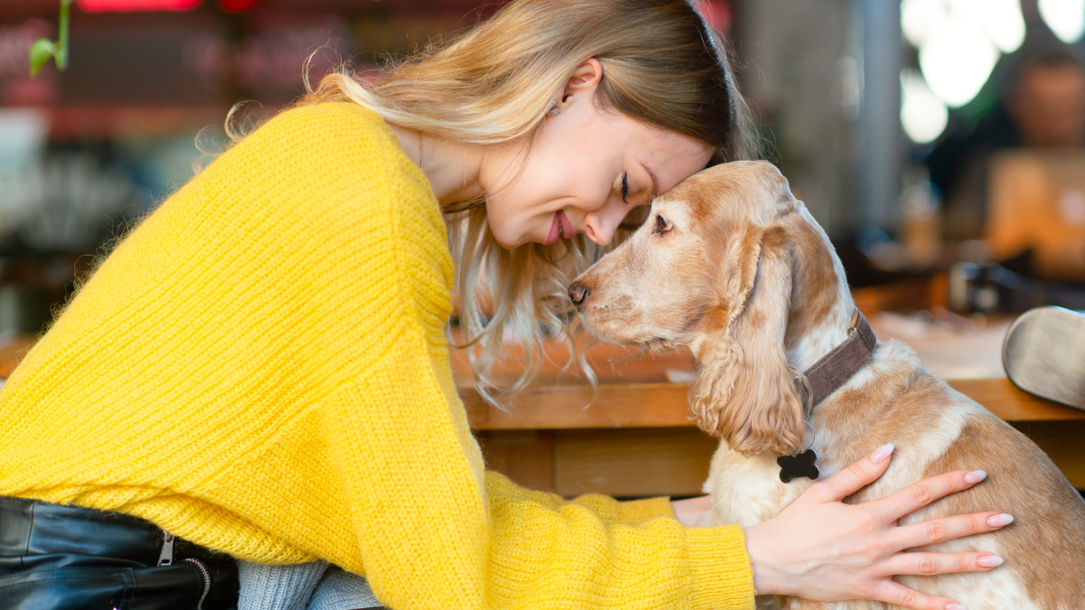 Caucasian young blonde girl siiting in caffe on chair face to face with dog.