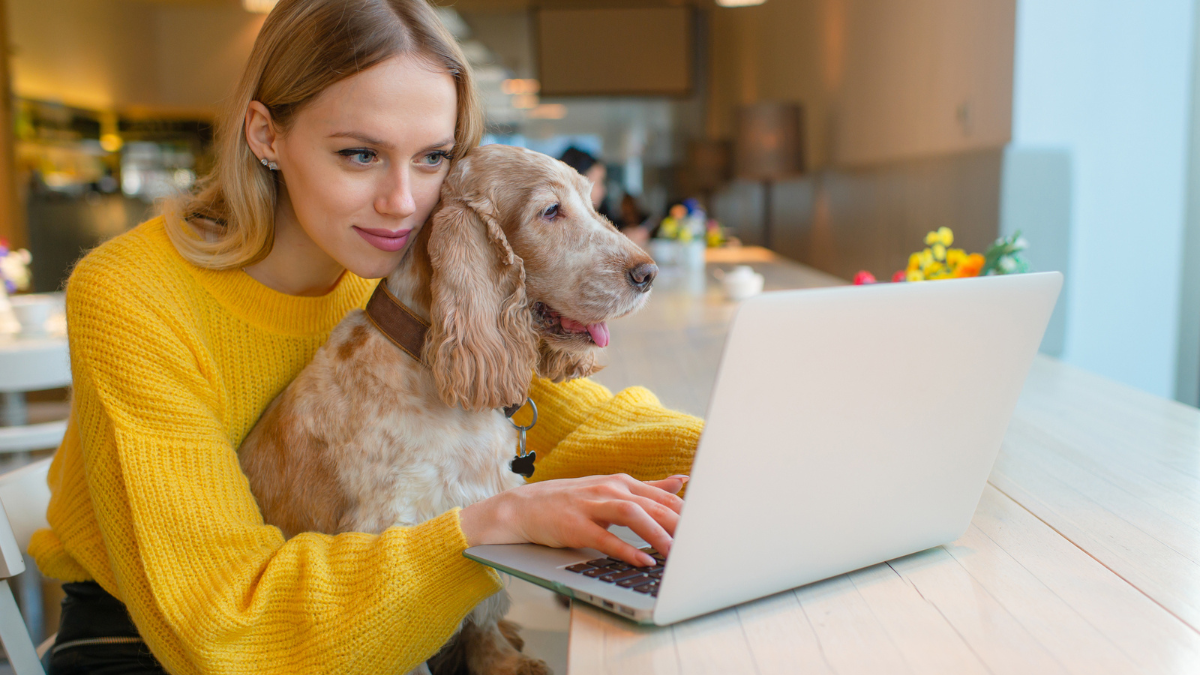 Young caucasian blonde girl holding her cocker spaniel dog on her knees in co working space and watching together in laptop on the table.