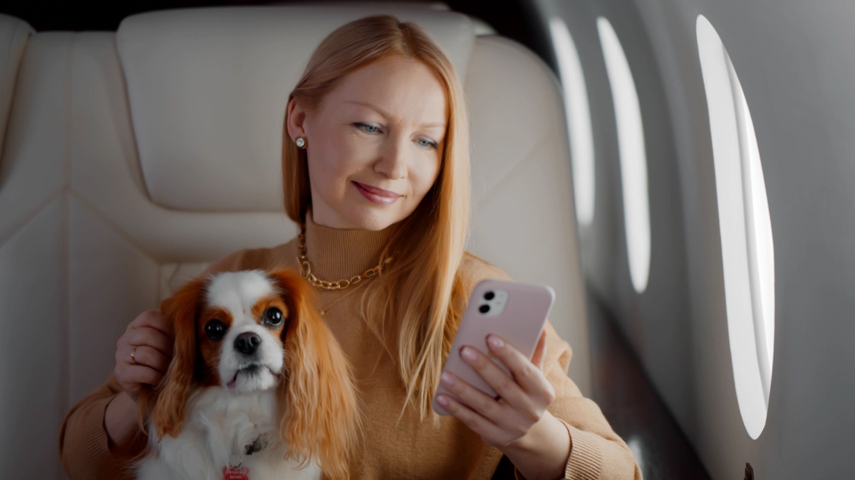Beautiful rich woman with dog using smartphone in first class plane. Portrait of elegant wealthy lady stroking cocker spaniel and surfing internet on mobile phone in private jet.
