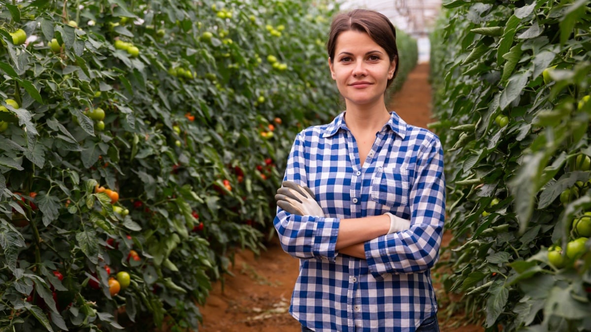 Portrait of successful smiling female horticulturist in greenhouse near bushes with ripening red tomatoes.