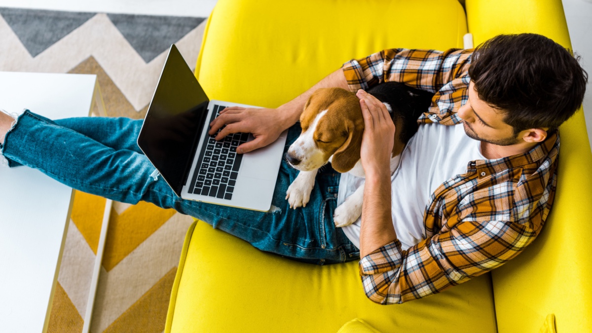 overhead view of man using laptop on sofa with cute dog.