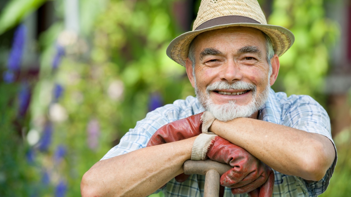 Senior gardener with a spade in the garden.