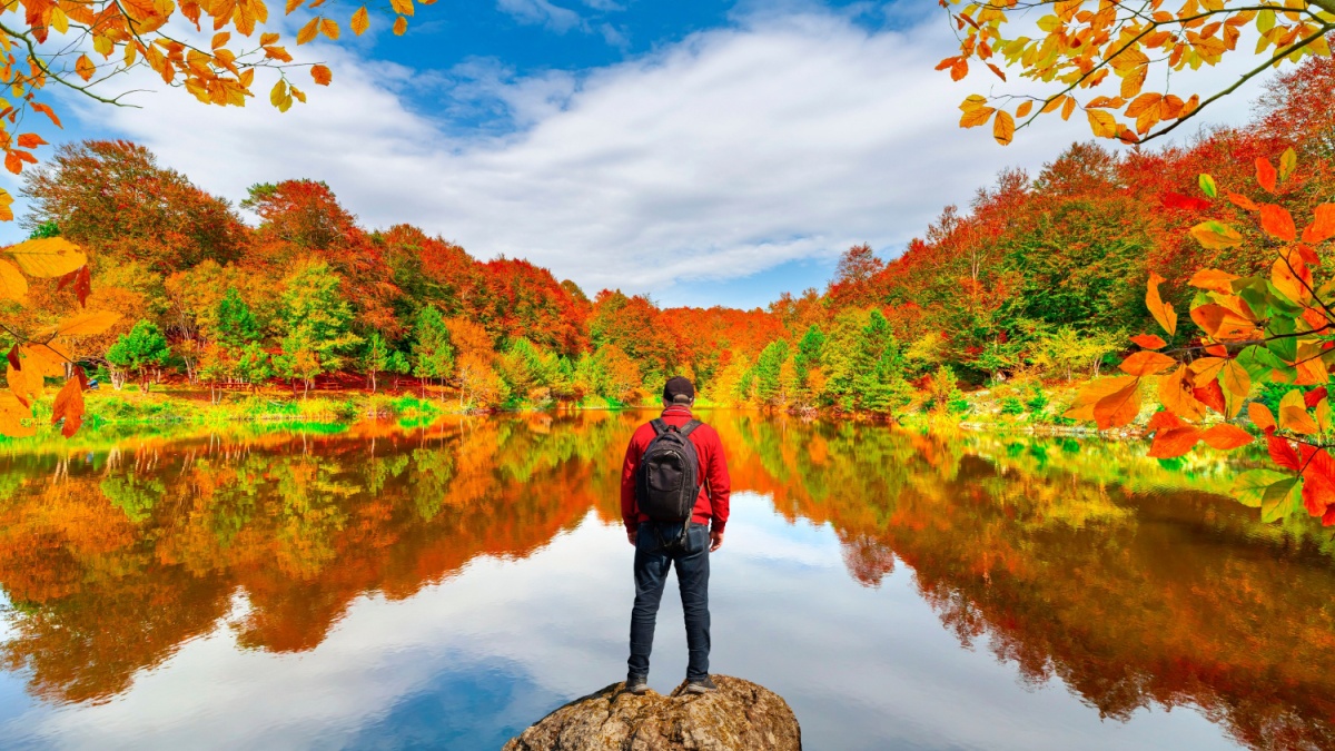 Lake scenery in autumn. Autumn colors in nature. Autumn landscape in forest.