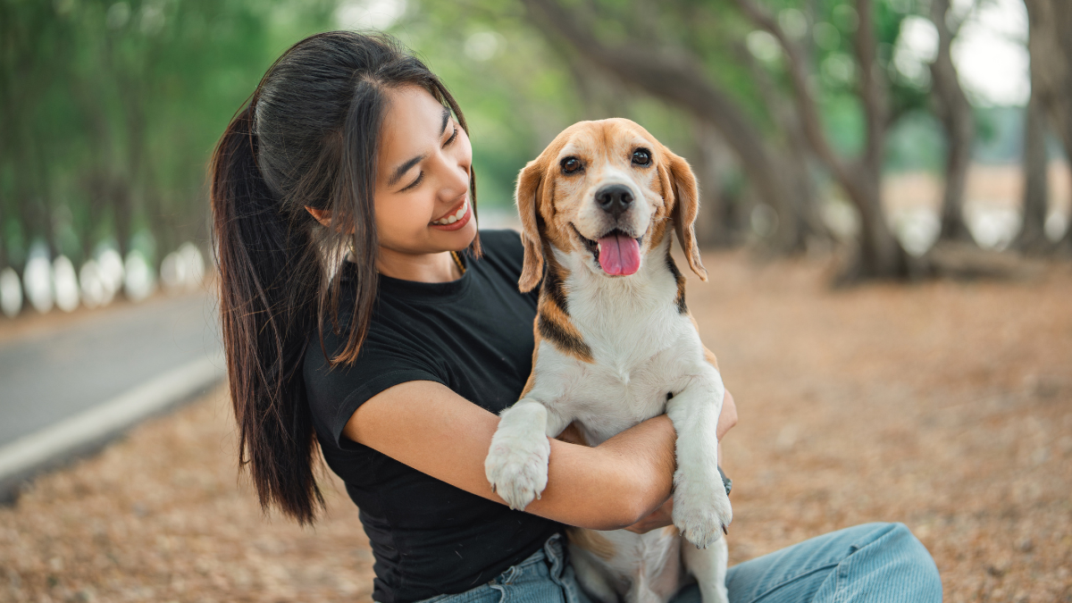 Happy asian woman playing with dog together in public park outdoors, Friendship between human and their pet.