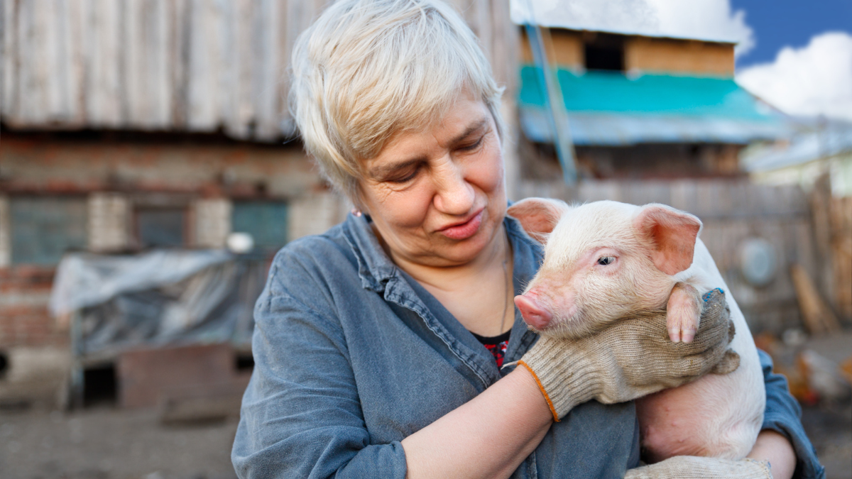 adult woman holding a small pig.