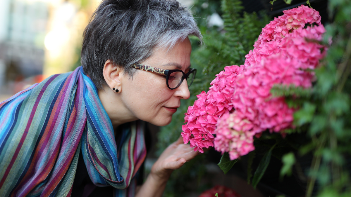 Portrait of a mature gray-haired woman in glasses who smells beautiful flowers.