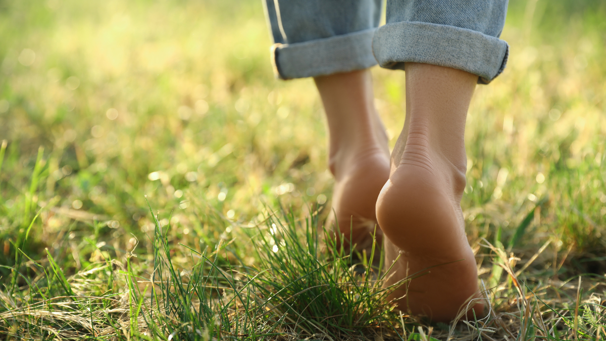 Woman walking barefoot on green grass outdoors, closeup.