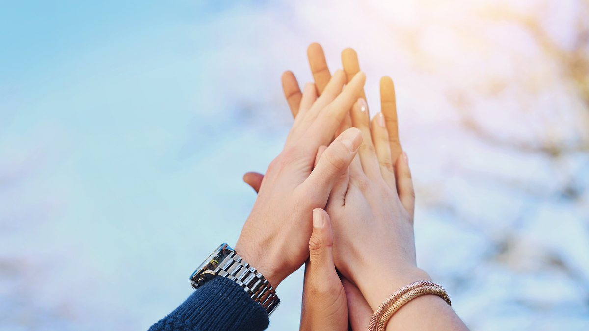 Hands, high five and support for people in nature with solidarity and trust in backyard. Community, friends and together in garden for collaboration, motivation and success or achievement outdoor.