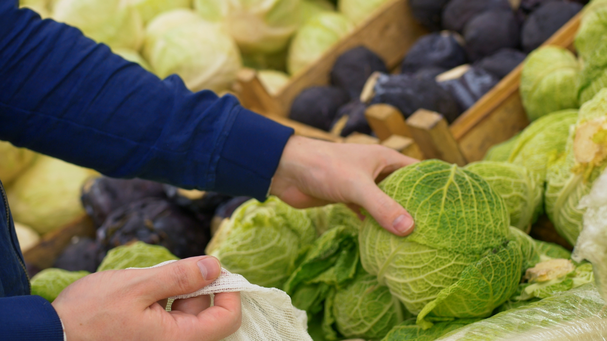 A customer at the market buys fresh cabbage, takes a head of savoy cabbage off the shelf and puts it in a resealable bag. Buying fresh vegetables for making healthy meals. Healthy food concept..
