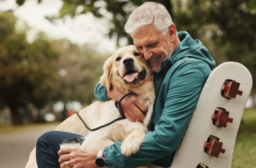 Park, senior man and dog with hug for bonding, fitness break and companion in retirement outdoor. Male person, happy owner and care for golden retriever as animal, friendly pet and loyalty on bench.