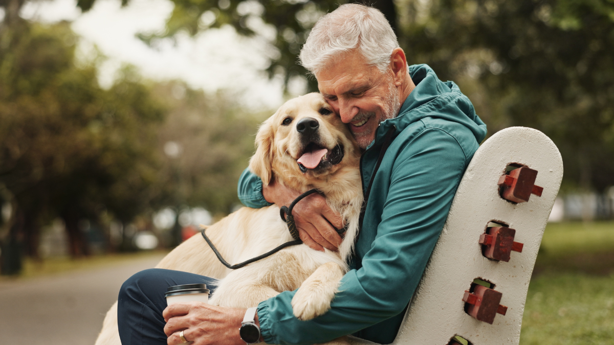 Park, senior man and dog with hug for bonding, fitness break and companion in retirement outdoor. Male person, happy owner and care for golden retriever as animal, friendly pet and loyalty on bench.