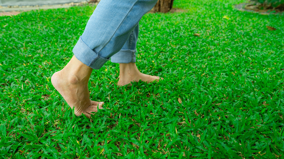 Close-up of barefoot person stepping on lush green grass lawn. Nature connection and natural healing through walking outdoors. Peaceful wellness retreat. Mindful lifestyle and connection to the earth for slow-living frugal habits.